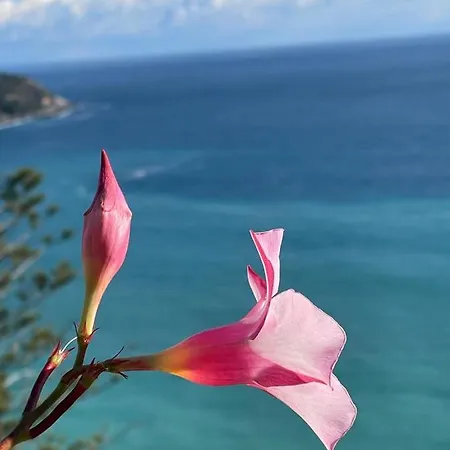 Apartament Beautiful Pool House Two Minutes From Monaco We Were Swimming Pool